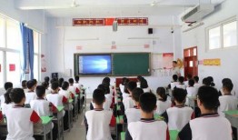 桃城学校爆料案件最新,揭开校园安全隐秘面纱