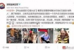 深圳龙哥爆料最新消息,最新热点事件深度解析