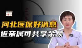 河北省保险最新爆料,揭秘最新爆料与行业趋势