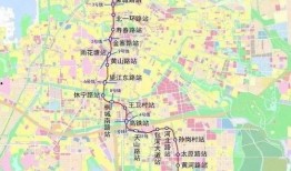 镇江宠物爆料事件最新进展,最新调查结果及后续进展揭晓