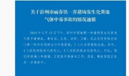四川借钱爆料事件最新消息,最新进展揭秘，真相大白！