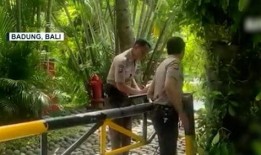 巴厘岛情侣案件爆料最新,真相大白，疑云散去！