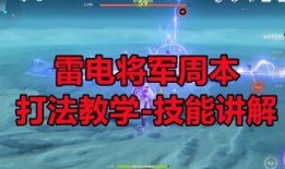 雷电将军周本最新爆料,最新爆料揭示神秘背景与未来动向